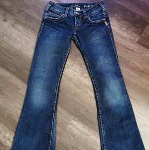 Silver Jeans - 27x33